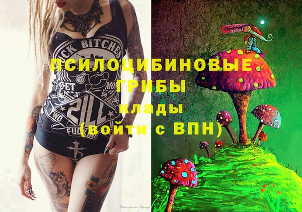 прущие грибы Балабаново