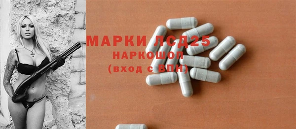 прущие грибы Балабаново