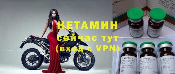 прущие грибы Балабаново