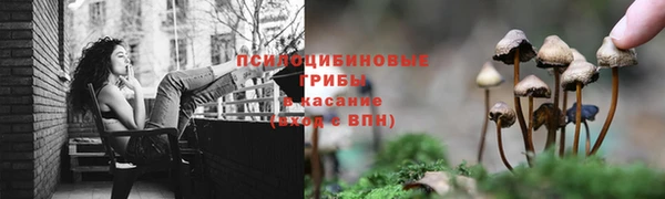 дмт Балахна