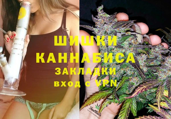 прущие грибы Балабаново