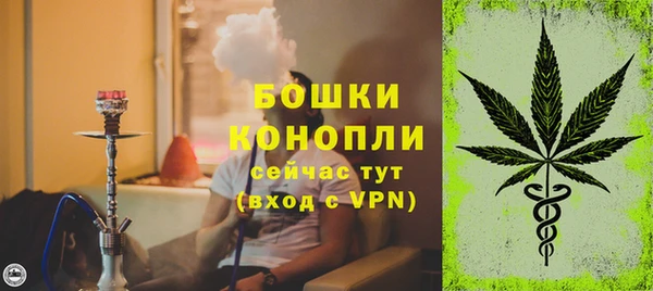 ГАЛЛЮЦИНОГЕННЫЕ ГРИБЫ Гусь-Хрустальный