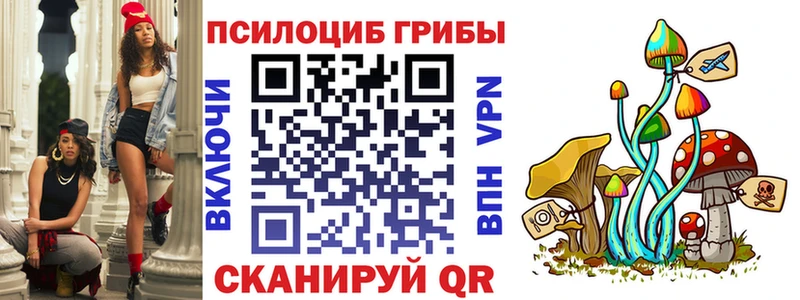 OMG зеркало цена наркотик Ершов Псилоцибиновые грибы GOLDEN TEACHER